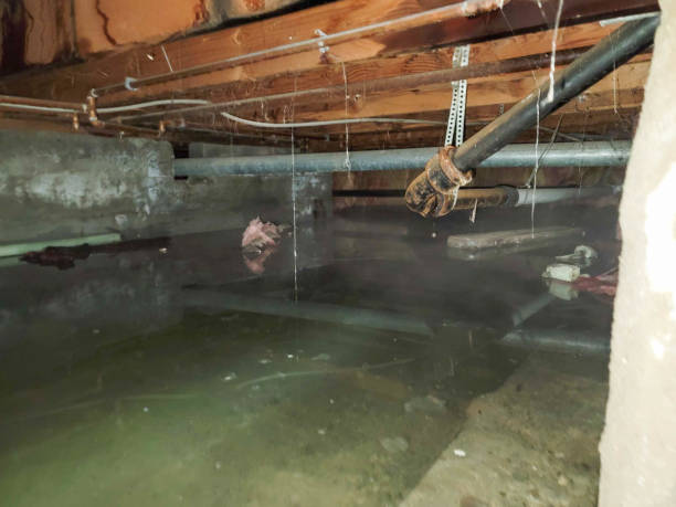  Brookfield, WI Water damage restoration Pros