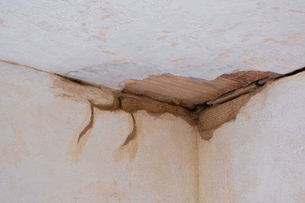 Best Local water damage restoration  in Brookfield, WI