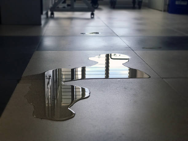 Best Emergency water damage restoration  in Brookfield, WI