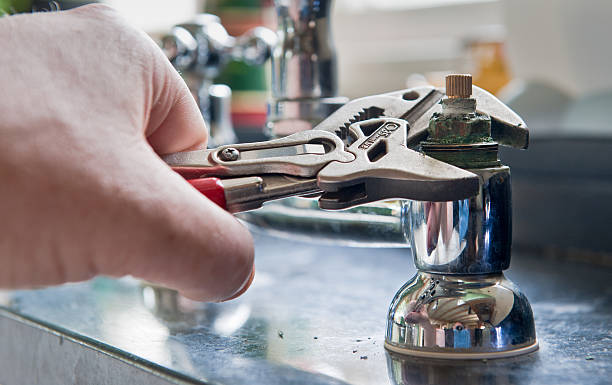Best Professional water damage repair  in Brookfield, WI
