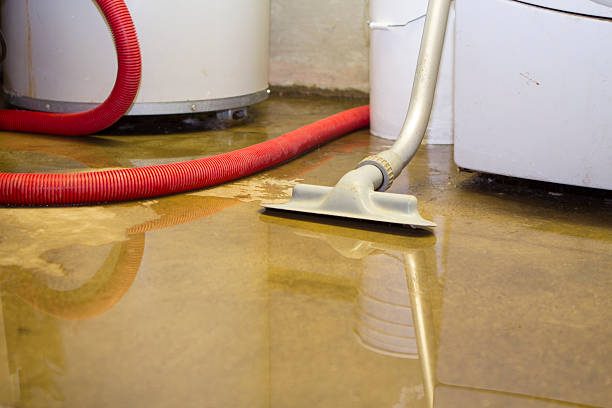 Professional Water damage restoration in Brookfield, WI